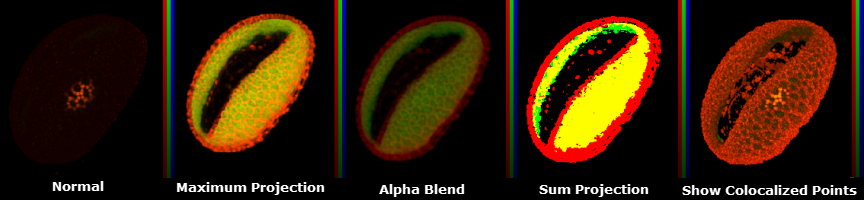 Visualizer 2-D Projection Examples